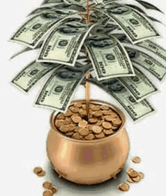 2015-05-20 20_09_55-денежное дерево - Bing Изображения