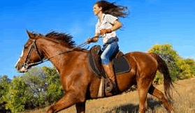 2015-05-23 18_57_29-конную прогулку - Bing Изображения