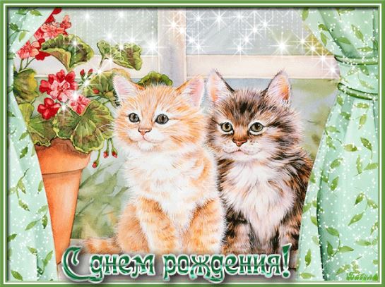 Поздравительная открытка с котом и кошкой.