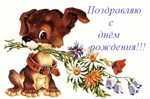 Открытка со щенком и цветами (старя добрая знаменитая открытка)