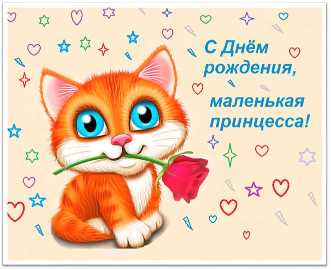 Поздравительная открытка с котиком